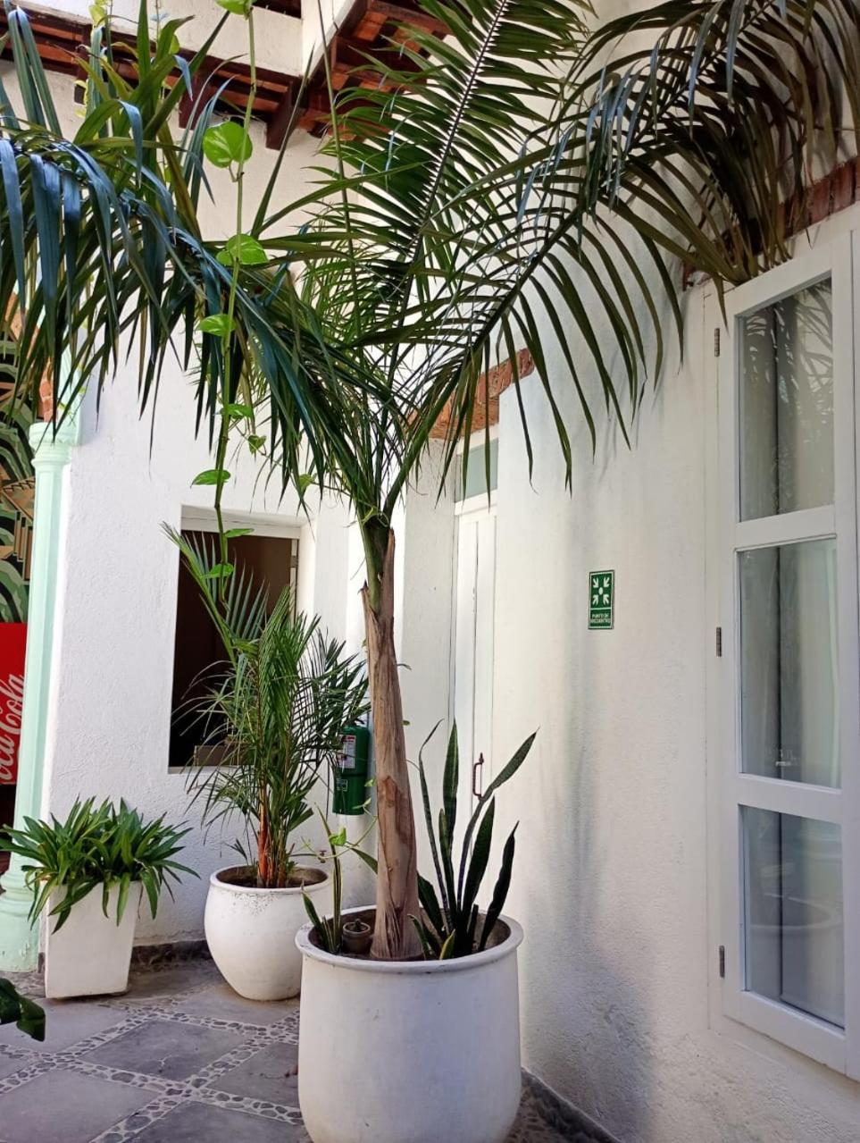 Casa Verde Hotel Santa Marta  Exteriér fotografie
